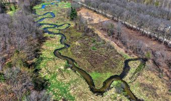 V/L W Chicago Road, Allen, MI 49227