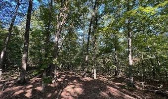 County Road 118, Annapolis, MO 63620