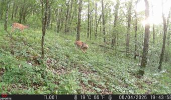 SEC33-TO2N-R21E KTrail, Albion, OK 74521