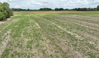 290 CR, Asbury, MO 64832