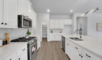 821 Woodview Ct, Anna, TX 75409