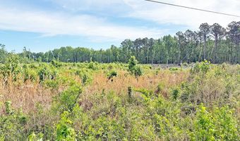 McCall's Millpond Rd, Bennettsville, SC 29512