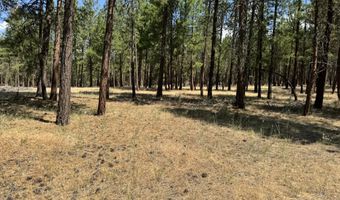 28961 Yonna Wood Rd, Bonanza, OR 97623