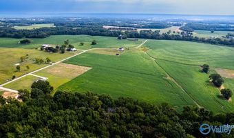 30 Acres Stevenson Rd, Ardmore, TN 38449