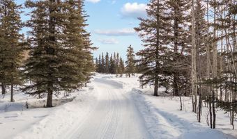 19948 W Glenn Hwy, Chickaloon, AK 99674