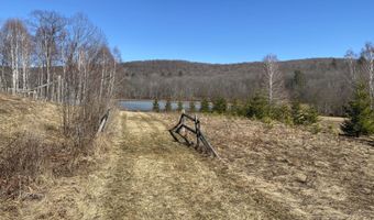 L21.1 Alder Pond Road, Andes, NY 13740