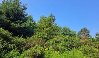 0 COUNTY ROUTE 41, Afton, NY 13730