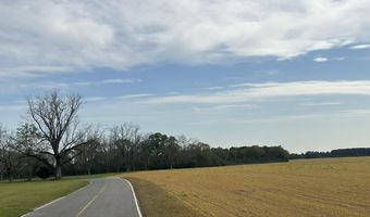 Vinson Ray Road, Baker, FL 32531