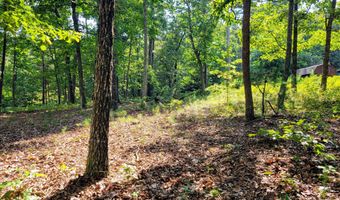12730 Weatherly Switch Rd, Apison, TN 37302