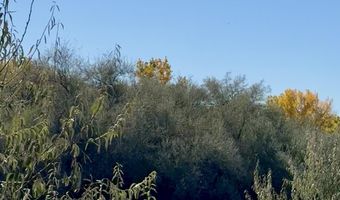 ROAD 4599, Blanco, NM 87412