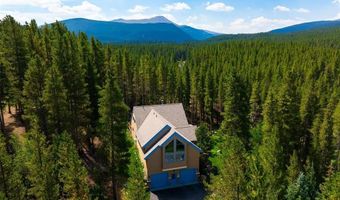 463 Blue Flag Cir, Breckenridge, CO 80424