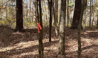 42 Nd St Rear Land, Allegan, MI 49010