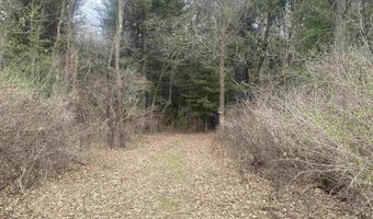 42 53A COUNTY ROAD Q, Amherst Junction, WI 54407