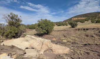 Pinon Valley Ranch lot 9, Concho, AZ 85924