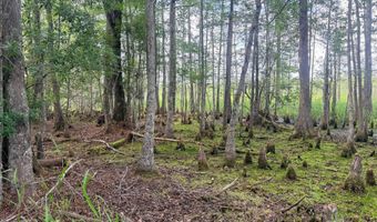 Goldenrod Drive, Barnwell, SC 29812