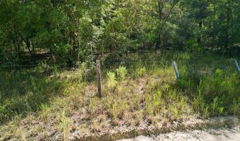 55 Th St, Bell, FL 32619