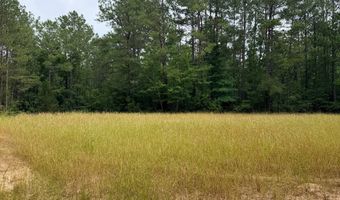 Low Water LN SW, Brookhaven, MS 39601