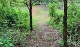 7011 County Road 429, Ava, MO 65608
