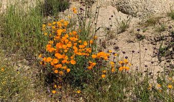 0 Fresz, Aguanga, CA 92536