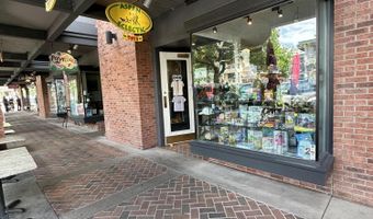 635 E Cooper Ave, Aspen, CO 81611
