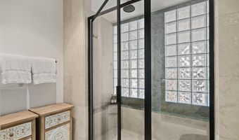 650 S Monarch St Unit 11, Aspen, CO 81611