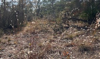 NE 99th Pl, Archer, FL 32618