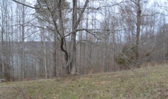 Fox Hill Road lot 4 & 5, Baxter, TN 38544