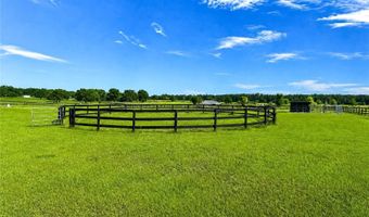 12345 NE 14TH Ave, Anthony, FL 32617