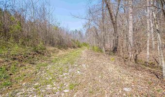 163 Acres Duck Springs Rd, Attalla, AL 35954