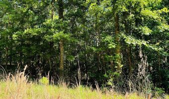 Creek Road lot 3, Ashland, AL 36251