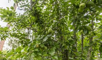 913 7th Ave, Albany, GA 31701