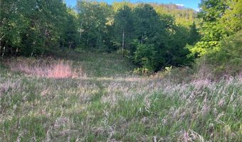 N3953-89 Bear Pen Road, Arkansaw, WI 54721