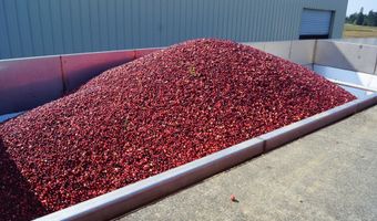 54981 MORRISON Rd, Bandon, OR 97411