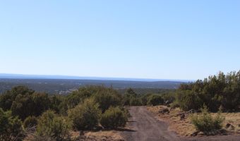 6 County Road 8052, Concho, AZ 85924
