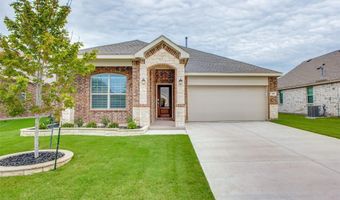 113 Hayes Dr, Anna, TX 75409