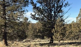 Canvasback Drive, Bonanza, OR 97623