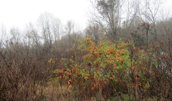 Lot 26 Lanis Rd, Baxter, TN 38544