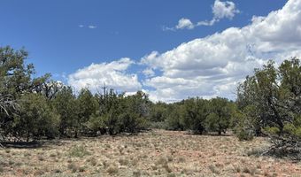 61 Colt Ct Se4 Rd, Ash Fork, AZ 86320