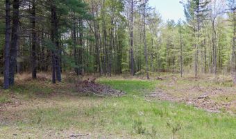 5826 S Morrison Rd, Alger, MI 48610