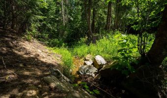 2089 Tower Mountain Rd, Blanchard, ID 83804