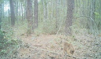 Fox Paw Court, Branchville, SC 29432