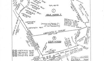 360 PATRICK HENRY HYWY Lot 2 & 3, Amelia Court House, VA 23002