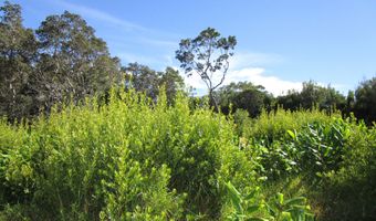 PUKEAWE CIR Lot #: 240, Hawaiian Ocean View, HI 96718