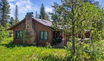 84 County Road 113 S, Allenspark, CO 80510