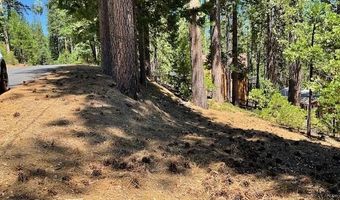 1547 Anna Lee Way, Arnold, CA 95223
