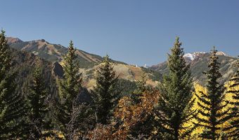 1036 Red Mountain Rd, Aspen, CO 81611