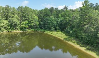 AEPEAN WAY lot 17 76 77 78 79 80, Alpine, AL 35014