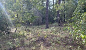 Putnam Avenue lot 31, Alford, FL 32420