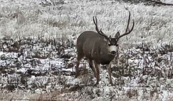 480 Spring Creek Rd, Baker, MT 59336