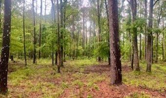 450 Apple Trl, Bogue Chitto, MS 39629